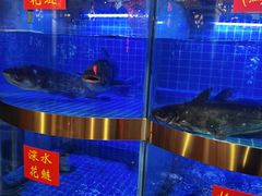 水产区-蛙一刀·麻椒鱼火锅(金仙桥店)