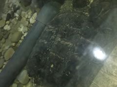 -苏州海洋馆