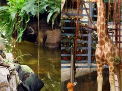 -石家庄市植物园