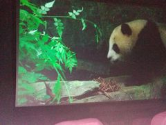 -UME影城(安贞DTS:X店)