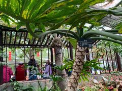 -北京植物园-展览温室