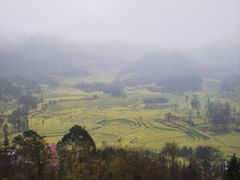 -牛街螺丝田