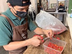 -三姐妹  Roast & Coffee(Retro Garden 1968’s)