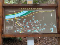 -云碧峰国家森林公园
