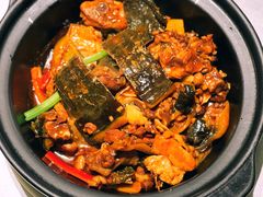 红烧甲鱼-维园悦谱·海派家常菜(乌鲁木齐南路店)