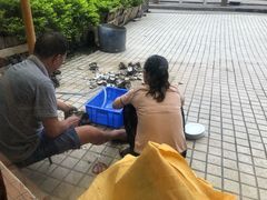 -濠轩阁特色生蚝火锅(水湾路店)