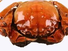 -阳澄湖大闸蟹·琼灵阁牌品牌连锁(吴中总店)