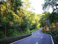 -神光山国家森林公园