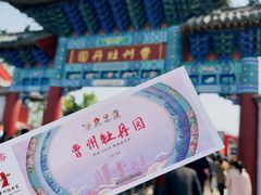 -曹州牡丹园