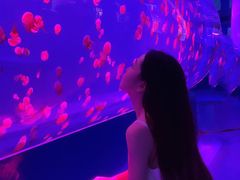 -左海海底世界