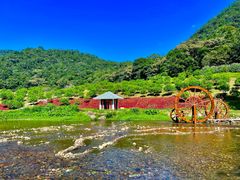 -广州市石门国家森林公园