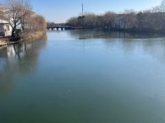 -溱湖国家湿地公园