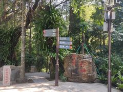 -深圳仙湖植物园