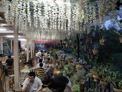 大堂-傣泐金湾餐厅