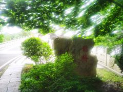 -东湖落雁景区