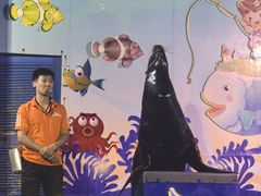 -太平洋海底世界