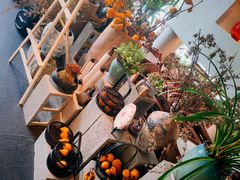 -茶人村·前滩江景雅宴(上海首店)