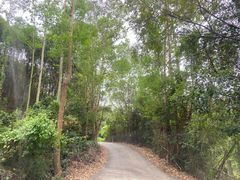 -汕头莲花山度假村温泉