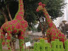 -重庆市江北嘴中央商务区中央公园