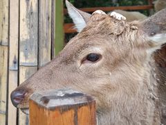 -华谊兄弟（长沙）电影小镇