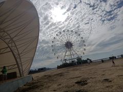 -奉贤海滩