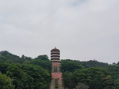 -福神岗公园