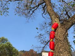 -塔川景区