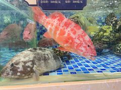 -欧记·龙城港(欣都龙城店)