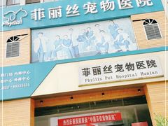 -菲丽丝宠物医院·24小时·猫科中心·免疫点(淮海分院)