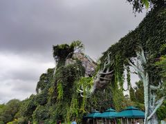 -云南野生动物园