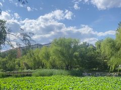 -三忘湖 SWANSEEN(柳荫公园店)