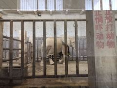 -保定市动物园