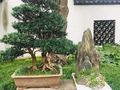 -上海醉白池公园