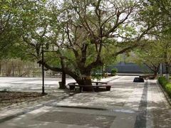 -哈密回王府景区