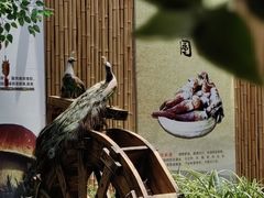 -大理董·董家小厨野生菌火锅(古城旗舰店)