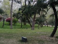 -燕儿岛山公园