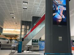 -米兰-马尔彭萨机场