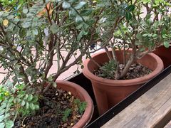 -咖啡道(东急新天地上下九步行街店)