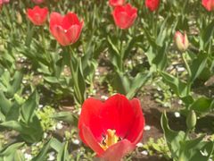 -长春公园(普阳街道)