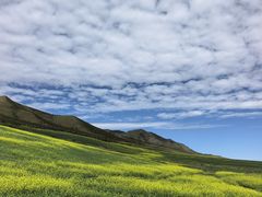 -扁都口生态休闲旅游区