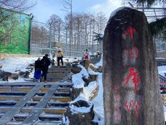 -横道河子东北虎林园