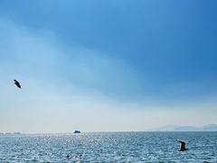 -滇池海埂公园