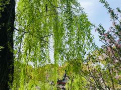 -南汇桃花村