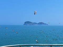 -海驴岛(荣成市)