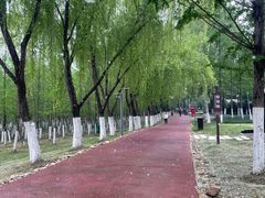 -滨湖塘西河公园