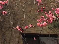 -西安交通大学(雁塔校区)