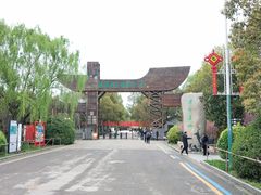 -溱湖国家湿地公园