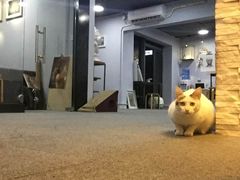 -青沐画室·专业美术培训