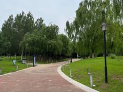 -莫子山公园