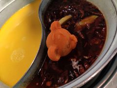 -青瓷火锅料理(西单大悦城店)